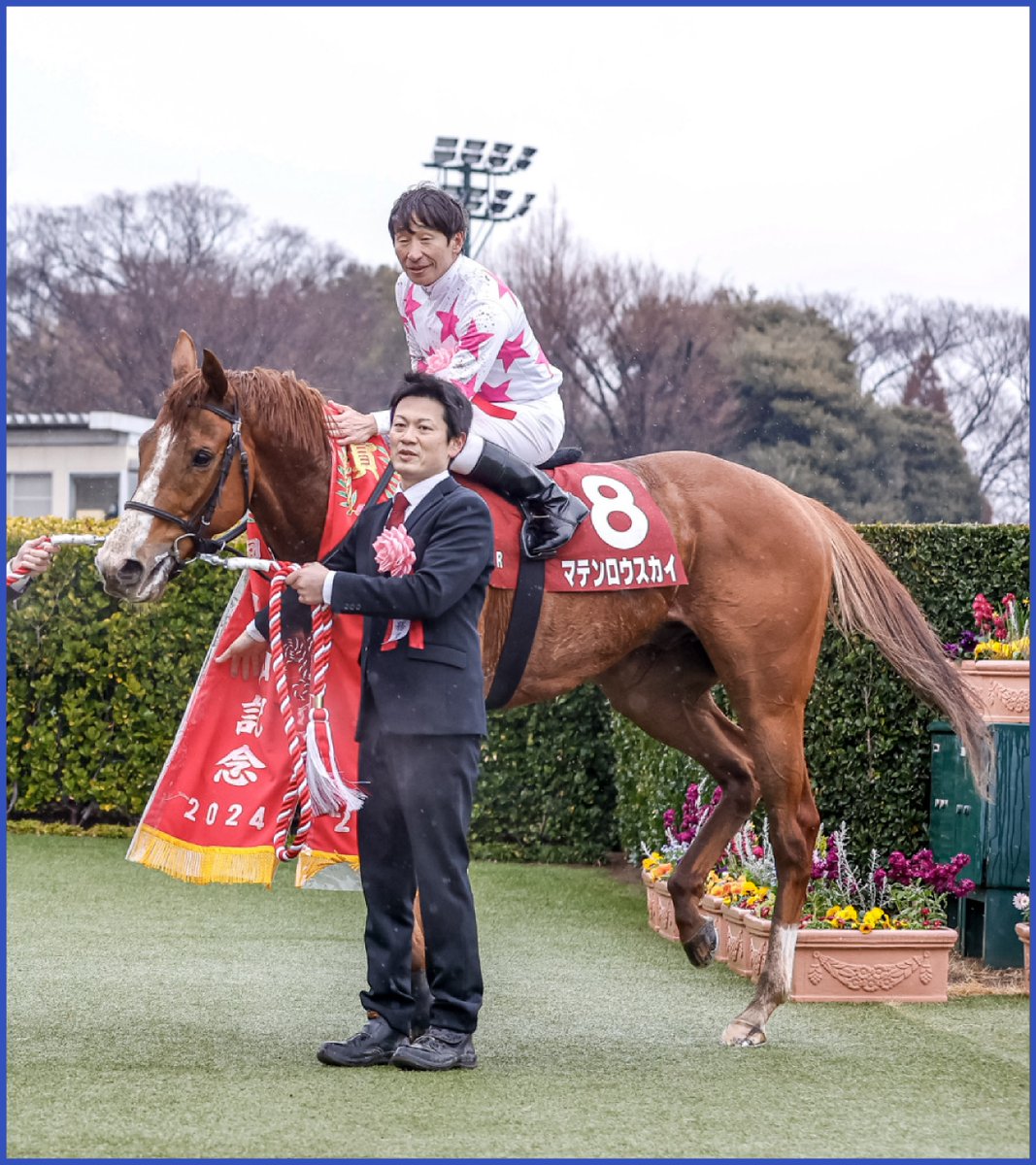 netkeiba's tweet photo. マテンロウスカイの引退に寄せて。
2024年の中山記念の勇姿。

雨の降る中山競馬場。
名手の手綱に導かれ、好位から抜け出しタイトル奪取。

同期のジオグリフや1年後輩のソールオリエンスなど、皐月賞馬たちを翻弄。

(撮影：下野雄規)

▼当時のレース結果を見る
https://t.co/pIAvowTJOq https://t.co/L8X1YTlbU5