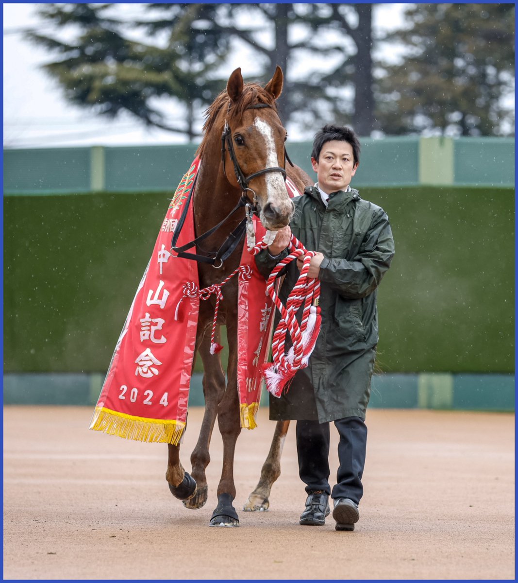 netkeiba's tweet photo. マテンロウスカイの引退に寄せて。
2024年の中山記念の勇姿。

雨の降る中山競馬場。
名手の手綱に導かれ、好位から抜け出しタイトル奪取。

同期のジオグリフや1年後輩のソールオリエンスなど、皐月賞馬たちを翻弄。

(撮影：下野雄規)

▼当時のレース結果を見る
https://t.co/pIAvowTJOq https://t.co/L8X1YTlbU5