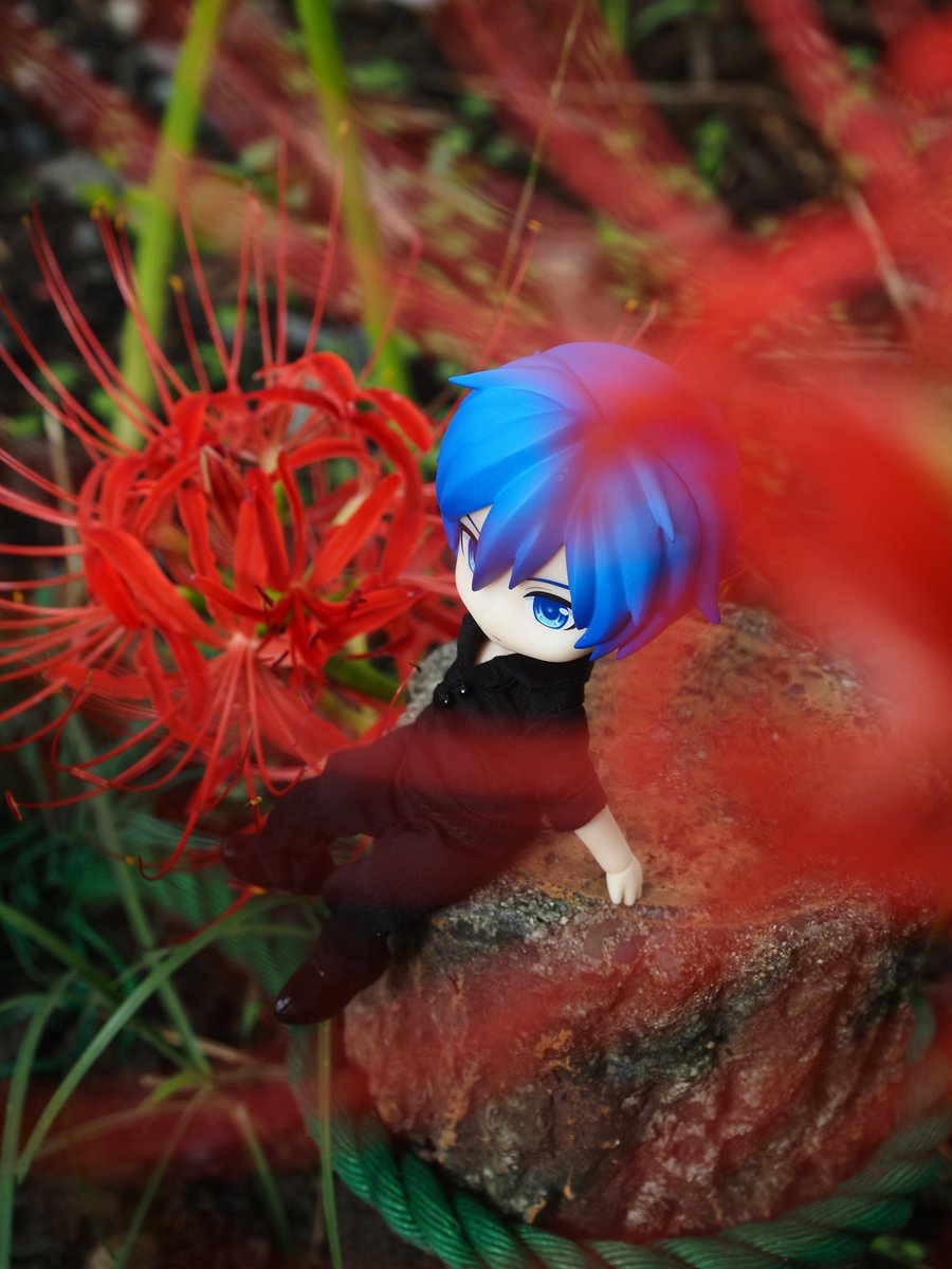 eternallymoon's tweet photo. しばらくずっと彼岸花

 #ギルティ #ねんどり #ねんどろいどどーる https://t.co/YXvbwhMGAA