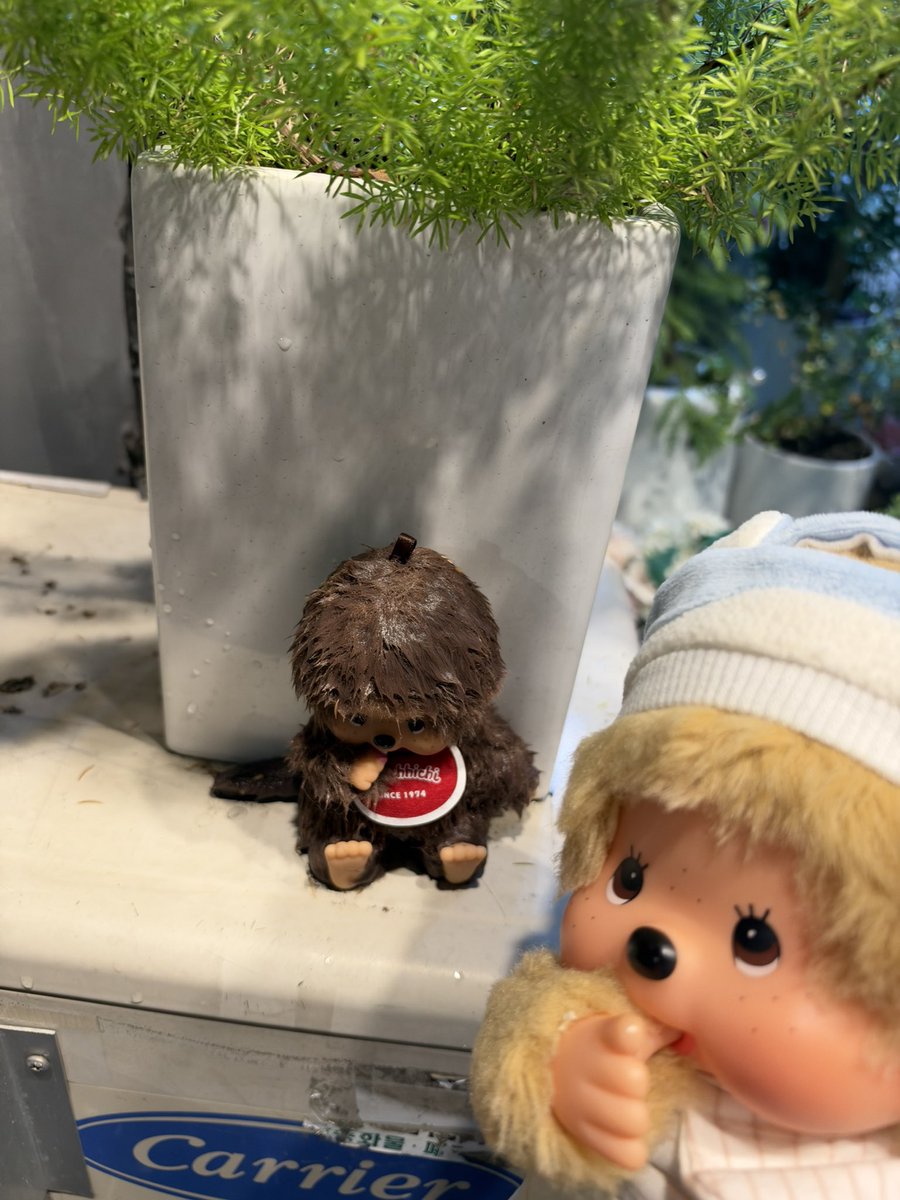 unrealforest's tweet photo. 아기 몬치치 춥잖아 https://t.co/0qucK8Mtps