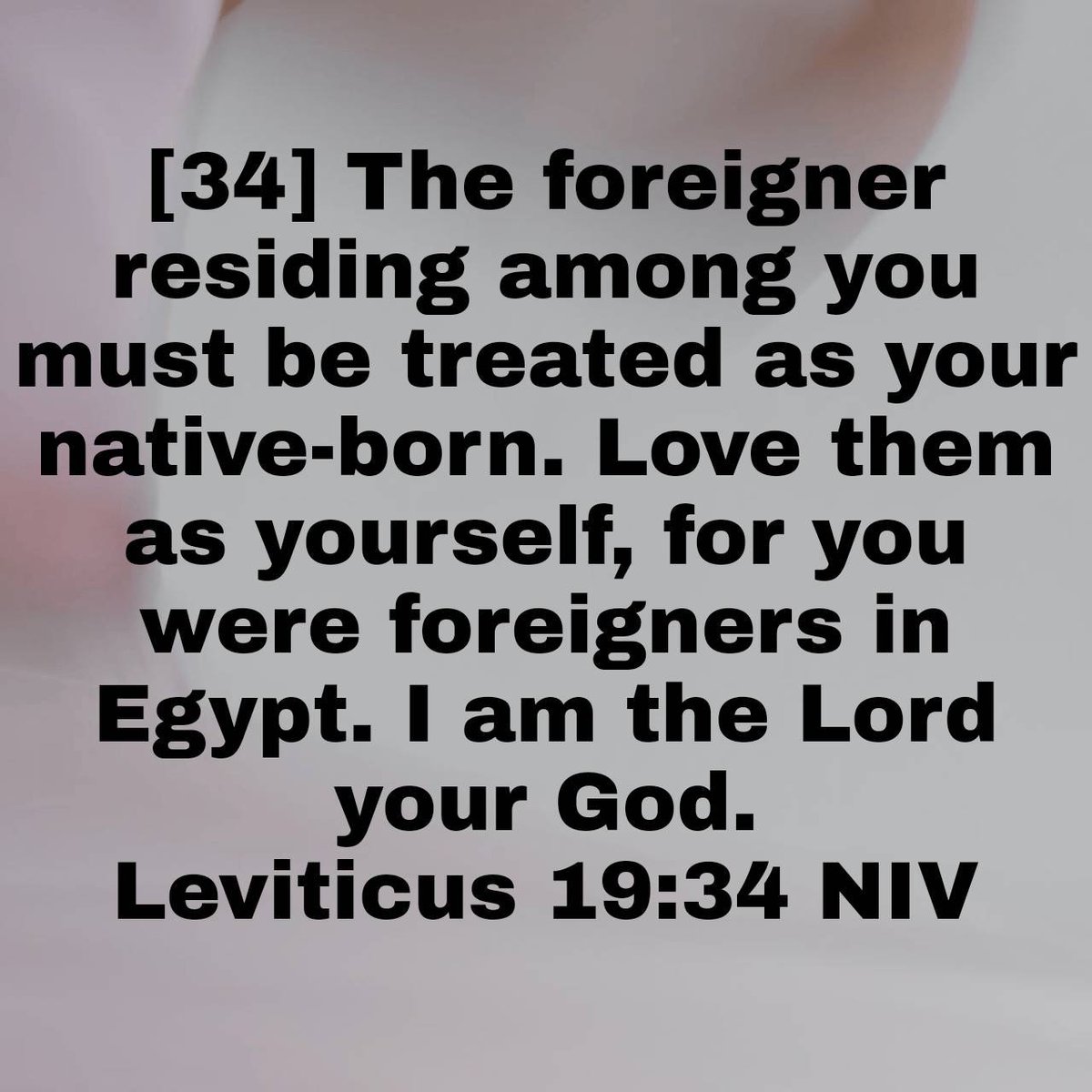 CharlesEdisson's tweet photo. “The foreigner residing among you must be treated as your native-born. Love them as yourself, for you were foreigners in Egypt. I am the Lord your God.”
Leviticus 19:34 NIV

https://t.co/JMXVArIb8q https://t.co/MicumhMCKp