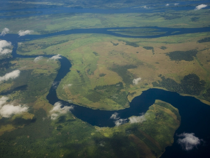 unil's tweet photo. Nouvelle découverte de l’Unil sur le fonctionnement des tourbières du Congo, ces énormes puits de carbone https://t.co/tGYDTSwCny https://t.co/ycrvEHUOVF