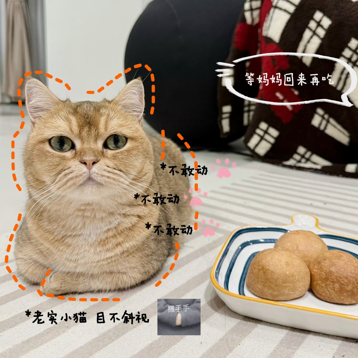 C3abr's tweet photo. 저희 공작실에 엠지직원이 들어온 것 같아요.? https://t.co/dh4TPJSxlE