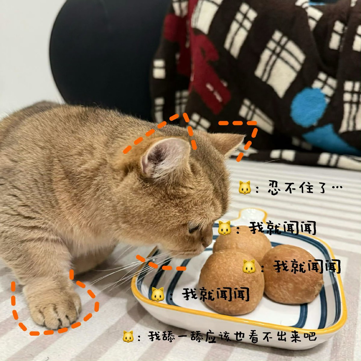 C3abr's tweet photo. 저희 공작실에 엠지직원이 들어온 것 같아요.? https://t.co/dh4TPJSxlE