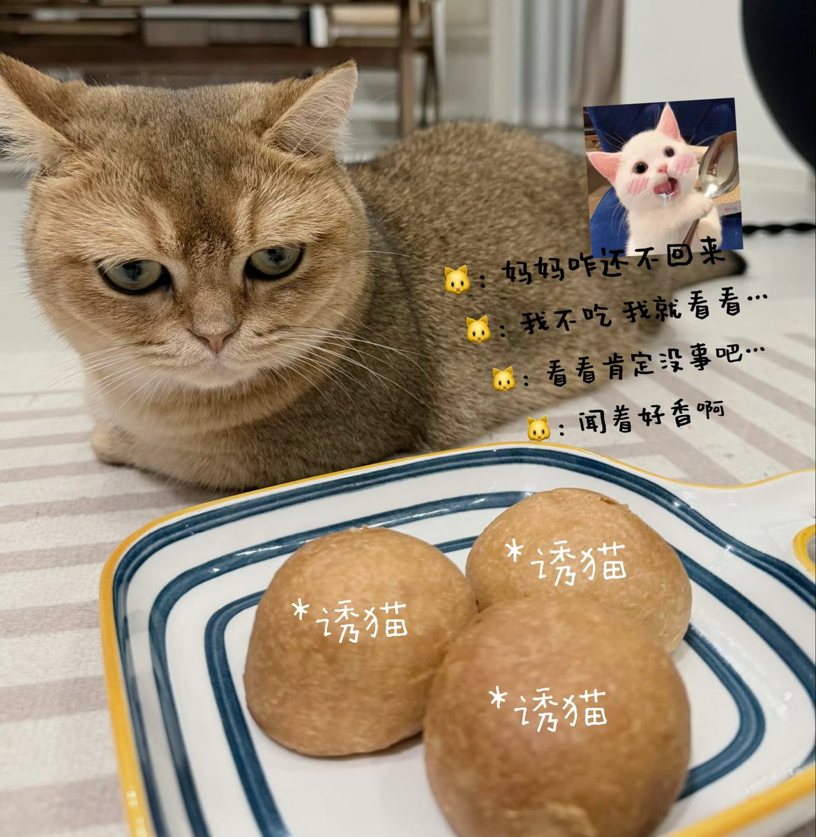 C3abr's tweet photo. 저희 공작실에 엠지직원이 들어온 것 같아요.? https://t.co/dh4TPJSxlE