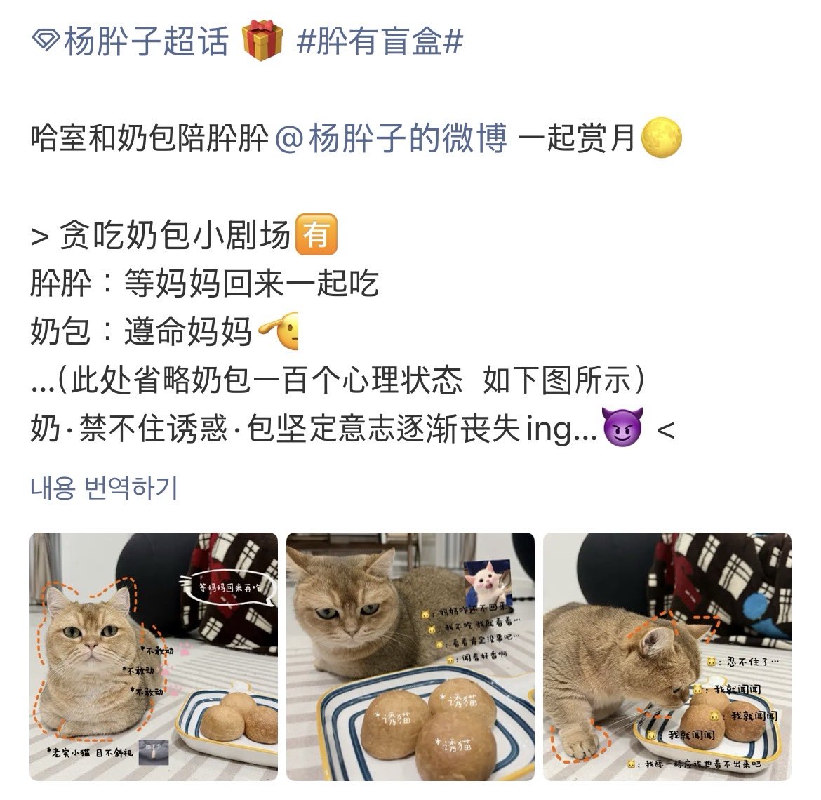 C3abr's tweet photo. 저희 공작실에 엠지직원이 들어온 것 같아요.? https://t.co/dh4TPJSxlE