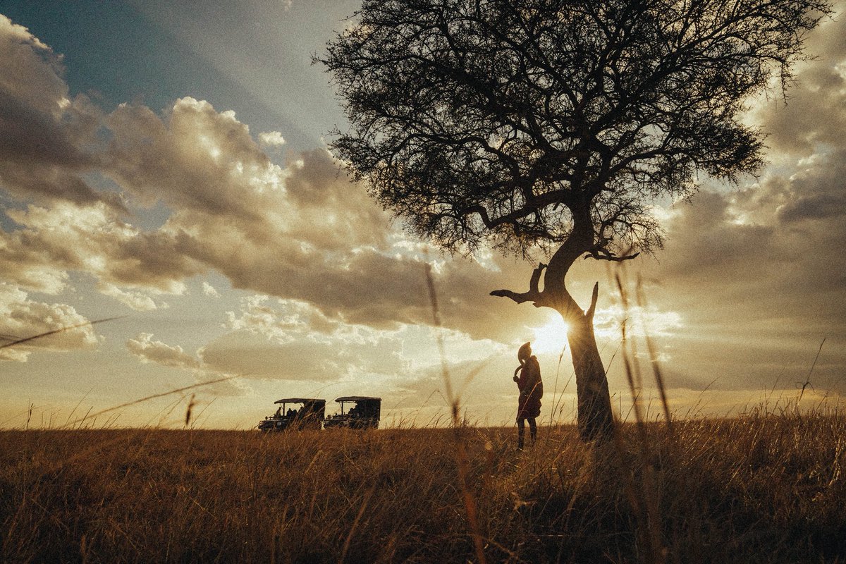 SonyAlpha's tweet photo. The scenes of the Masai Mara, through @dario.explore 's Alpha 1 II + 400-800mm F6.3-8 G OSS lens. #SonyAlpha https://t.co/lXzUHtxxUG