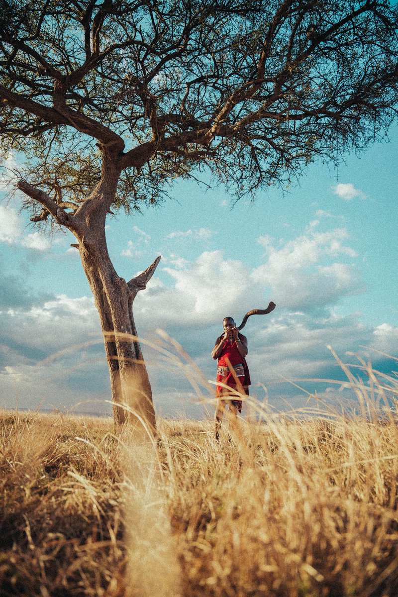 SonyAlpha's tweet photo. The scenes of the Masai Mara, through @dario.explore 's Alpha 1 II + 400-800mm F6.3-8 G OSS lens. #SonyAlpha https://t.co/lXzUHtxxUG