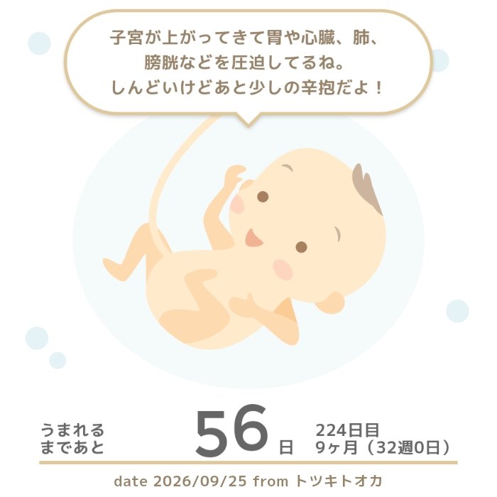 tuwarin_p's tweet photo. ㅤ
きゅ、9ヶ月...！はやいっ！！
予定日まで2ヶ月きったよー🥹
正期産まで1ヶ月ちょいだよー🥹
出産準備全然してないよー🥹
抱っこ紐変えたいよー🥹でも6人目で変えるのなん��もったいないよー🥹笑
4人目、5人目のマタニティフォト、撮影当日に陣痛来ちゃったから今回早めに撮らないと笑
ㅤ https://t.co/Q28INDgyCD