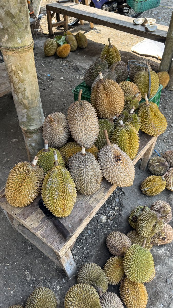 Adityajihad1's tweet photo. Monggo durian lokal soal rasa garansi, siap antar sampai depan rumah. Lokasi kotagede minat wa 085713545811 https://t.co/n4p2Is14nx