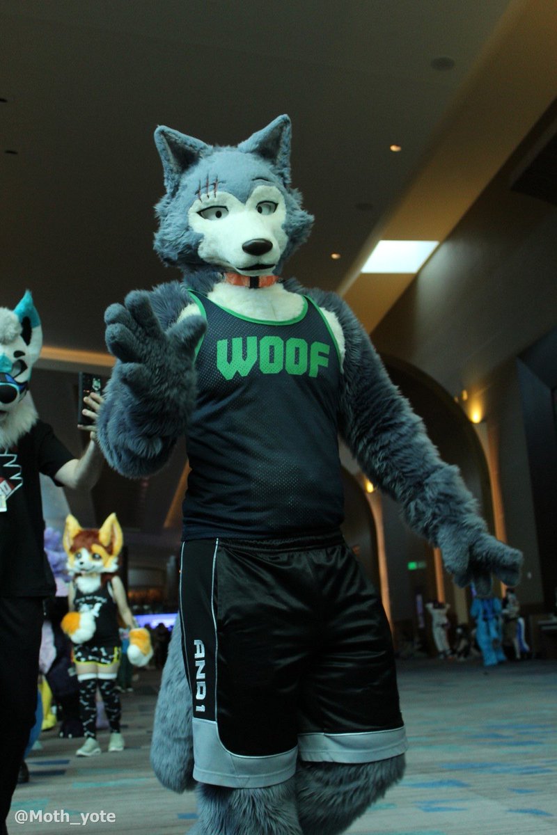 differmitt's tweet photo. Happy #fursuitfriday 🐺🩶 https://t.co/wKSwko5s5I
