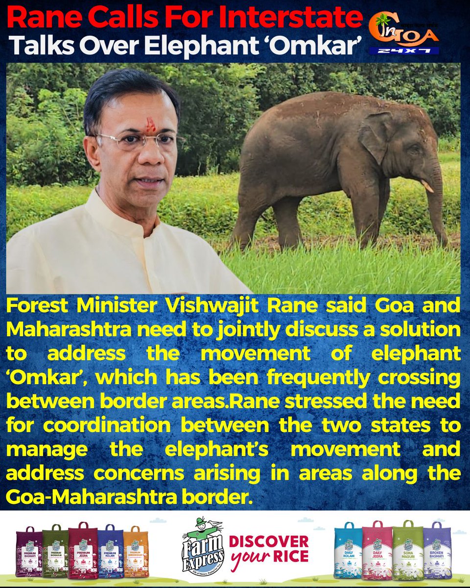 InGoa24x7's tweet photo. .@visrane Calls For Interstate Talks Over Elephant ‘Omkar’
#Goa #GoaNews #Omkar #Interstate #Talks https://t.co/X5JLOIqb0o