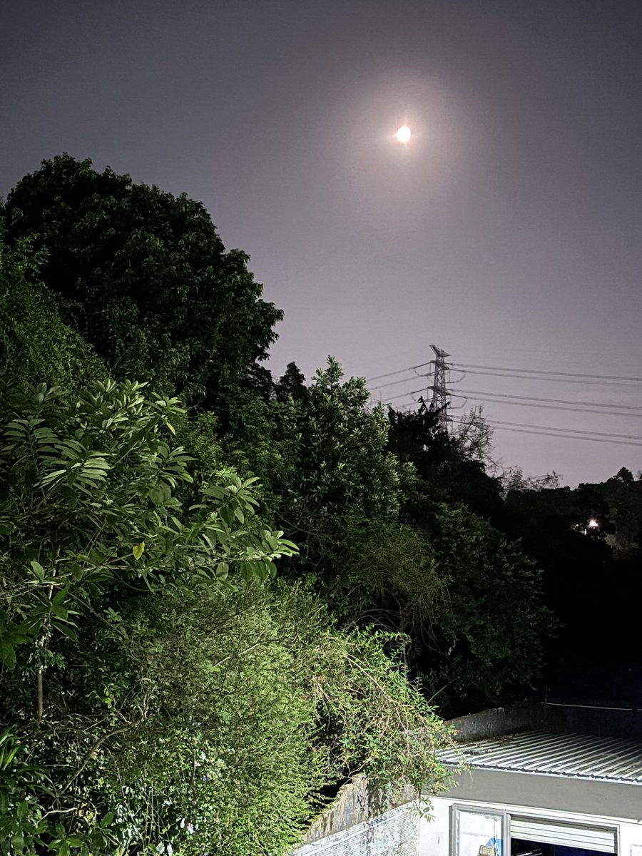 igarashi_kaiu's tweet photo. 今夜月明人尽望，
不知秋思落谁家。

🌕2026农历丙午年八月十五，中秋节🎑

🐇大家中秋节快乐呀～
Happy Mid-Autumn Festival ～🌕🥮🍵 https://t.co/rnF6FHbJsi