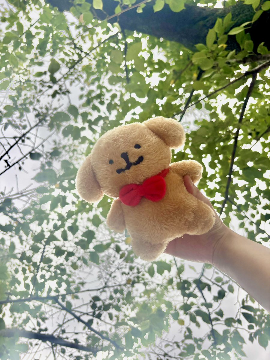 malnuinui's tweet photo. 左上のレトちゃん本当におすすめ❣️❣️❣️❣️❣️❣️❣️❣️モフモフで、でかくて、かわいいので。 https://t.co/L73zQaaMJS