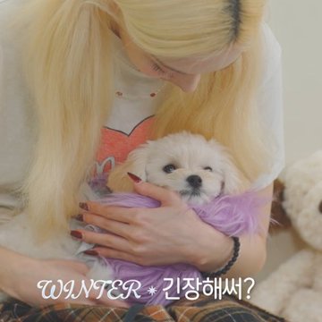 A blonde woman in pigtails holding a white puppy wrapped in a purple garment, with the text 'WINTER * 긴장해써?' overlaid at the bottom.