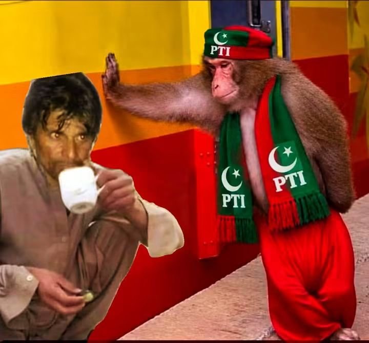 Raj88ab's tweet photo. پہلے نکلے حقیقی آزادی کے لیے... تو اپنا 'کپتان' اندر کروا دیا! 🤡
پھر نکلے کپتان کو بچانے... تو 'پیرنی' کو بھی اندر کروا دیا! 🙈
اب نکلے تو کپتان کی 'بہنیں' بھی اندر کروا کر بیٹھ گئے! 🤦‍♂️
​یوتھیو! ہن تسی اپنے 'سسٹم' کے اصلی باپ کا پتہ کرو کہ وہ کون ہے؟ 😇 https://t.co/hmtSEhe9DF