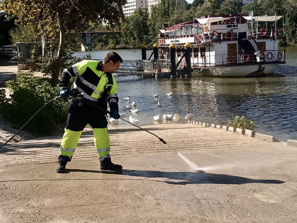 AyuntamientoVLL's tweet photo. ➡️ El Servicio Municipal de Limpieza del @AyuntamientoVLL continúa realizando actuaciones de lavado con agua a presión en diferentes puntos de la ciudad, reforzando la limpieza y el mantenimiento de calles y espacios públicos.

#EstamosLimpiando https://t.co/wcfTts7l2K