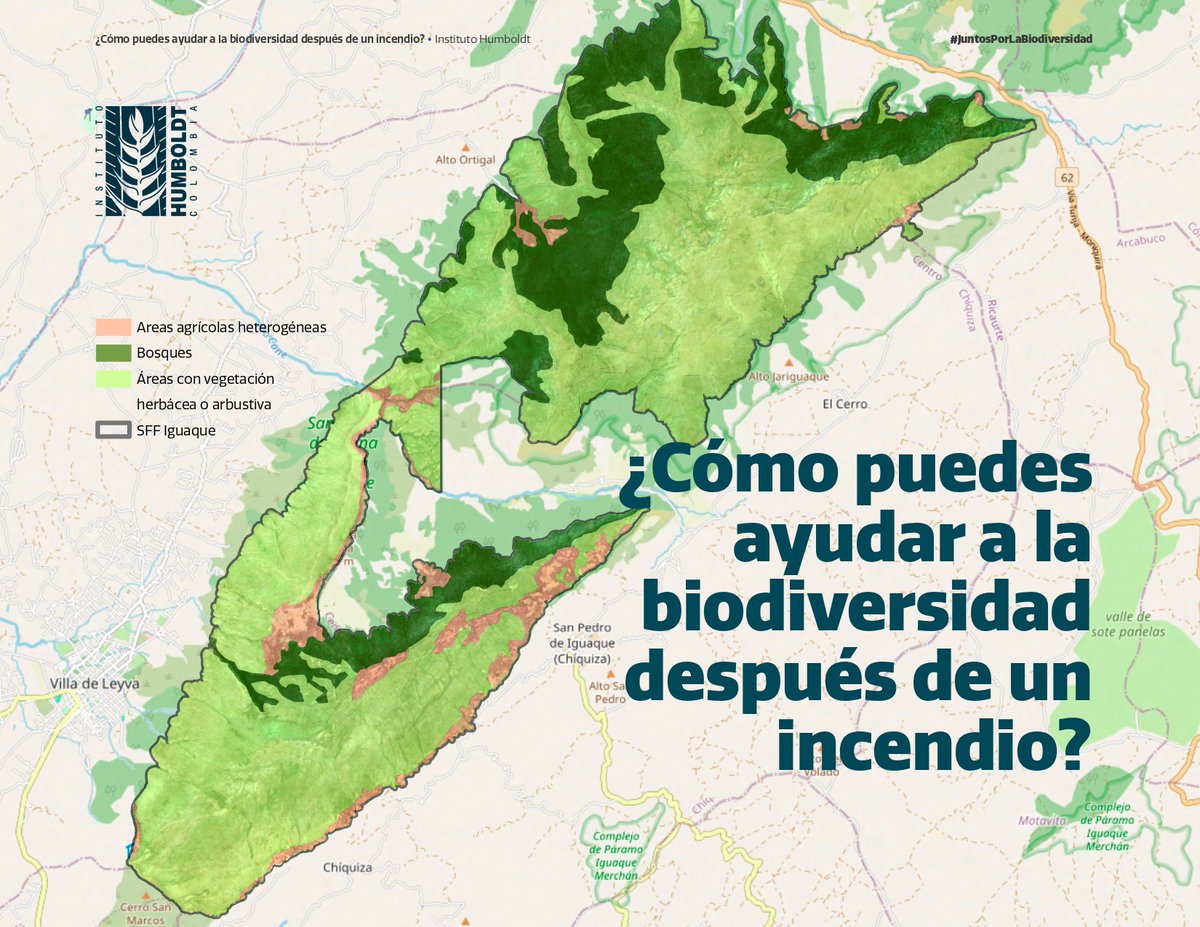 inst_humboldt's tweet photo. ¿Cómo podemos ayudar a la biodiversidad después de un incendio forestal? 🔥
Construimos este documento con recomendaciones muy sencillas, con base científica, para la restauración de un territorio afectado por los incendios forestales.

Descarga el PDF: https://t.co/oqAEEdAqR8 https://t.co/EFeP3ZYSsl