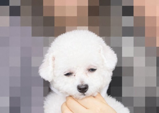 iluvmikoto's tweet photo. 너무지쳐요 https://t.co/orjEehgJSO