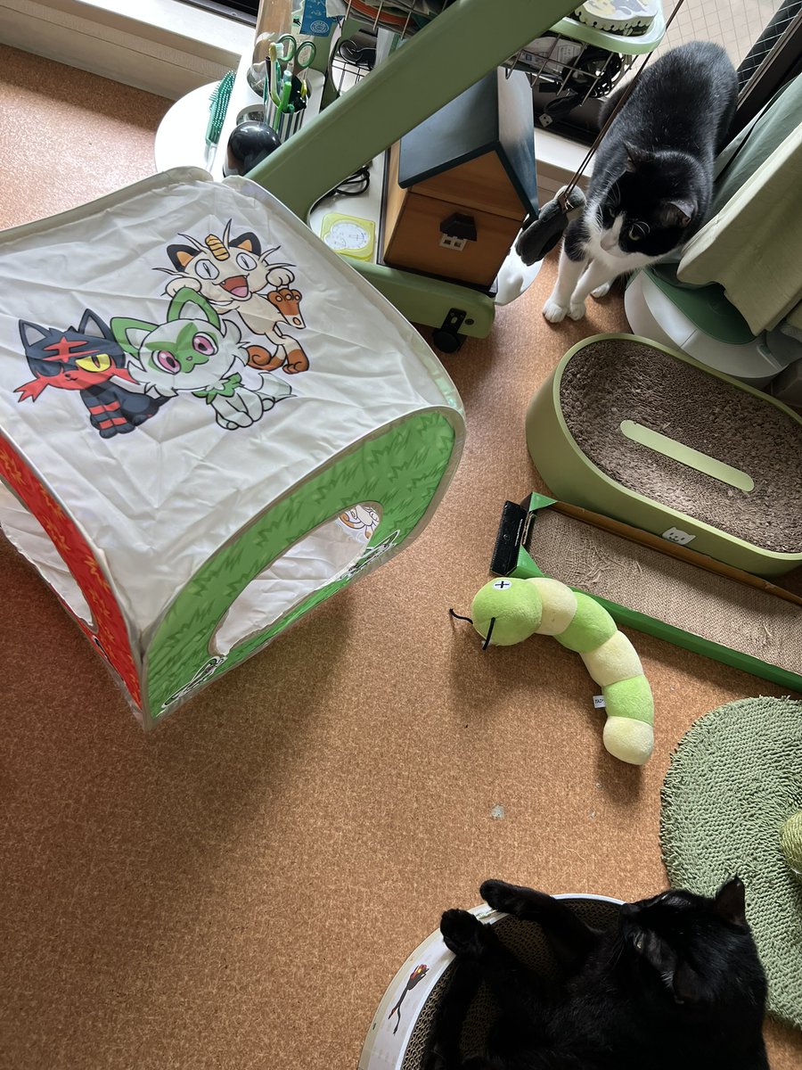 KurokuroYakko's tweet photo. 本日の nyans：Newアイテム～
警戒してた🐱chobieも
🐱kuroroの視察後にGO～ｗ
#nyans　#ねこ　#ネコ　#猫　#ミニ畑の花掲示板 https://t.co/xSgkvNn6uj