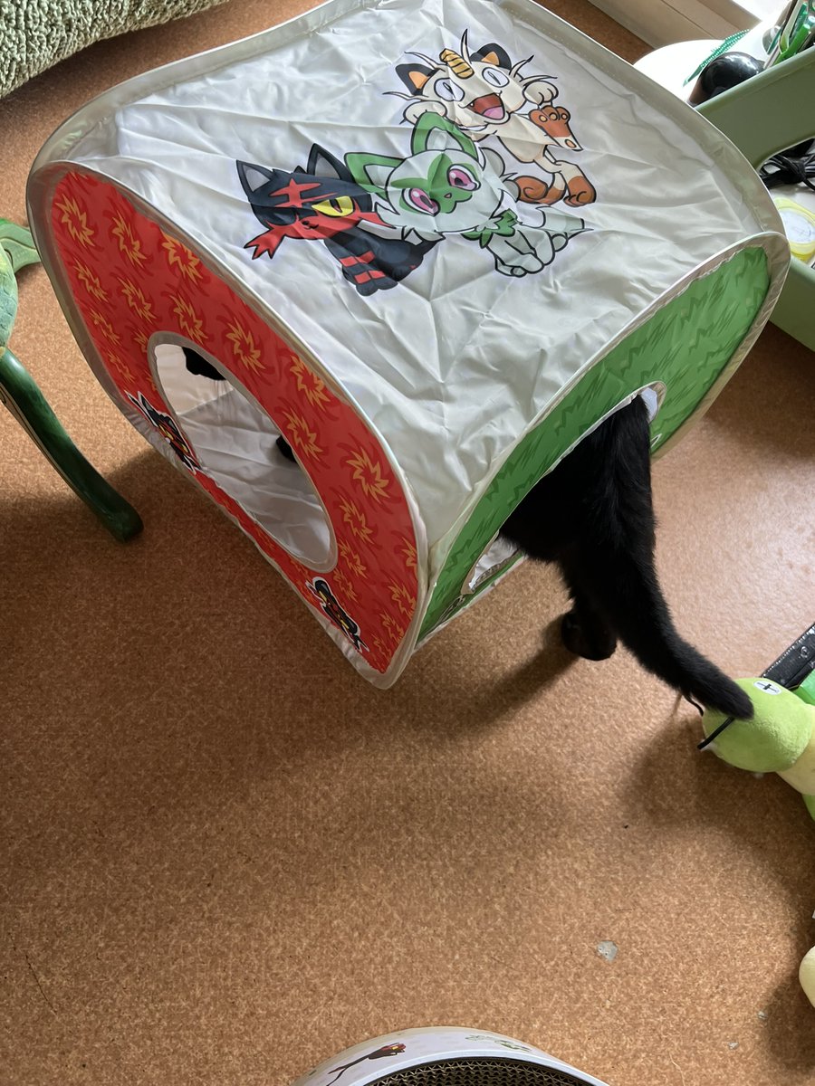 KurokuroYakko's tweet photo. 本日の nyans：Newアイテム～
警戒してた🐱chobieも
🐱kuroroの視察後にGO～ｗ
#nyans　#ねこ　#ネコ　#猫　#ミニ畑の花掲示板 https://t.co/xSgkvNn6uj