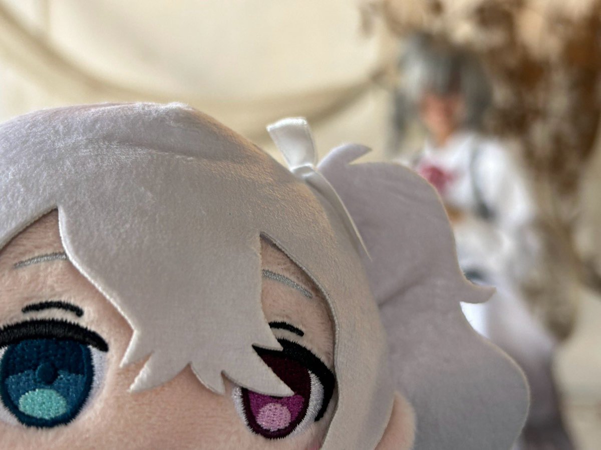 ass_kiy's tweet photo. すあコスで撮影会行ってきました！

通常ツインテ&amp;お団子❀.*ﾟ https://t.co/guc6u5dQ4A