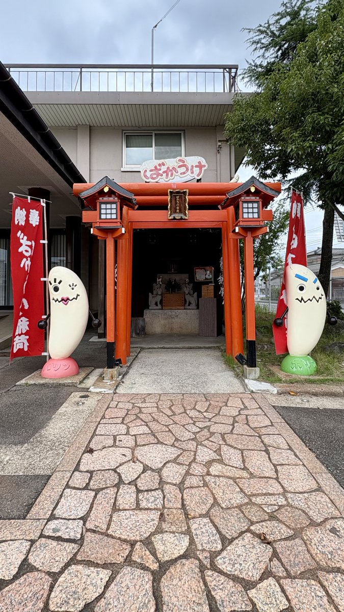 teaxlatte's tweet photo. 新潟2日目は先輩ファンの方にお勧めいただいた弥彦山へ。新潟平野がとてつもなく広い...同じ日本海側の地元故郷と何故にこうも違うのか考えさせられました。

旅の最後は「せんべい王国」と「栗山製菓ファクトリー」。米処の新潟ならではの観光スポット✨ https://t.co/h6XNouQyTR