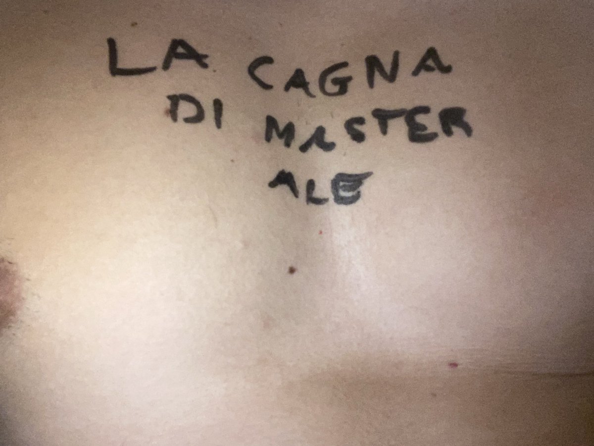 BetaSlave25's tweet photo. @masterale21 è il mio padrone

#findom https://t.co/1Fkj1dlKPQ
