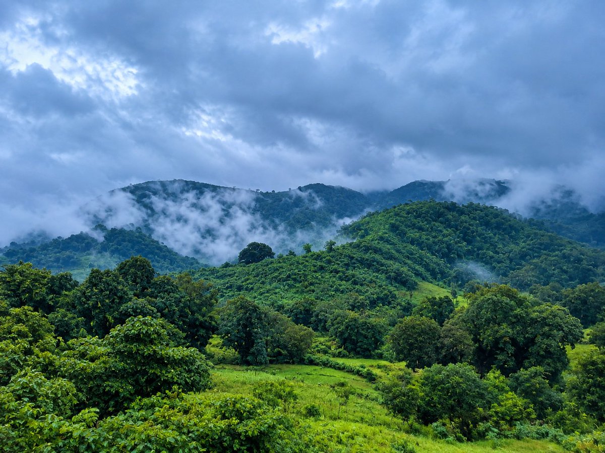 Ajaysemili's tweet photo. 🌧️🌿 Where the rain paints the hills green and every stream tells a story. 💚🏔️
@indianrail @Tikiri 
#NatureLovers #MonsoonVibes #MountainViews #RainyDays #Greenery #NaturePhotography #IncredibleIndia #Odisha #TravelPhotography #PeacefulPlaces #MonsoonMagic #Wanderlust 🌿📸 https://t.co/rVLejvhTbx