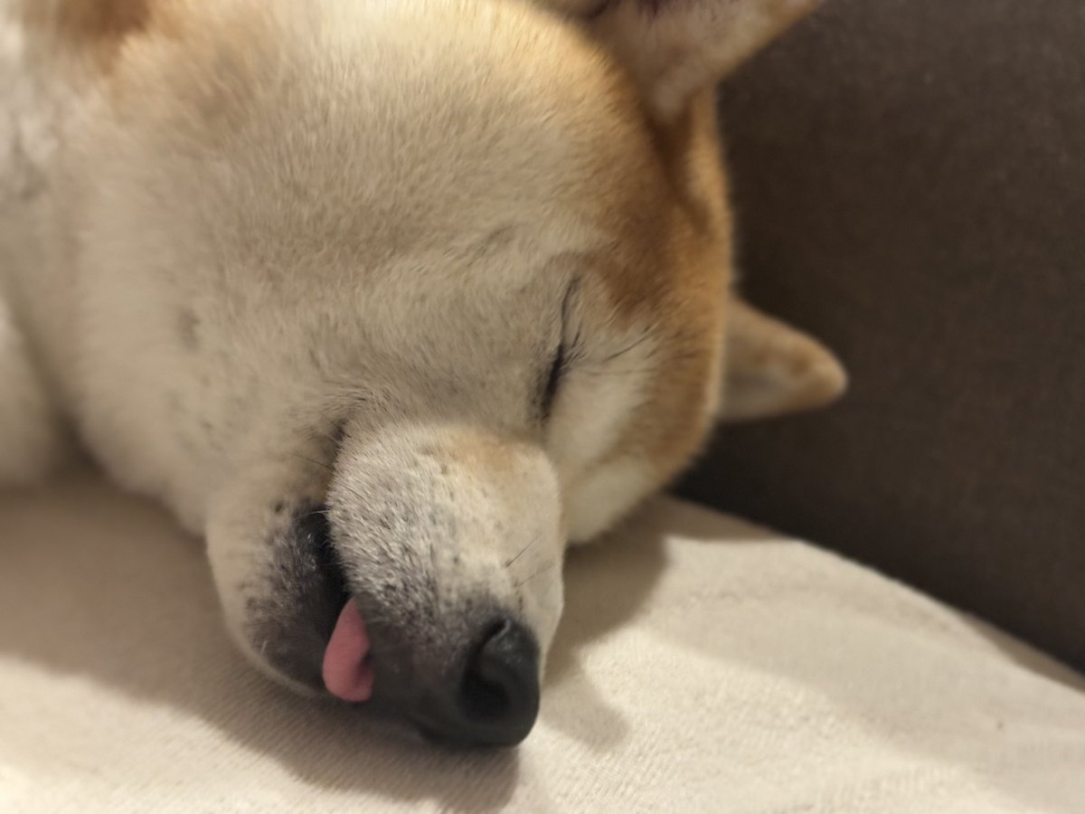 ichifuuu163819's tweet photo. おやthみなさい💤 https://t.co/nomNr4nSlu