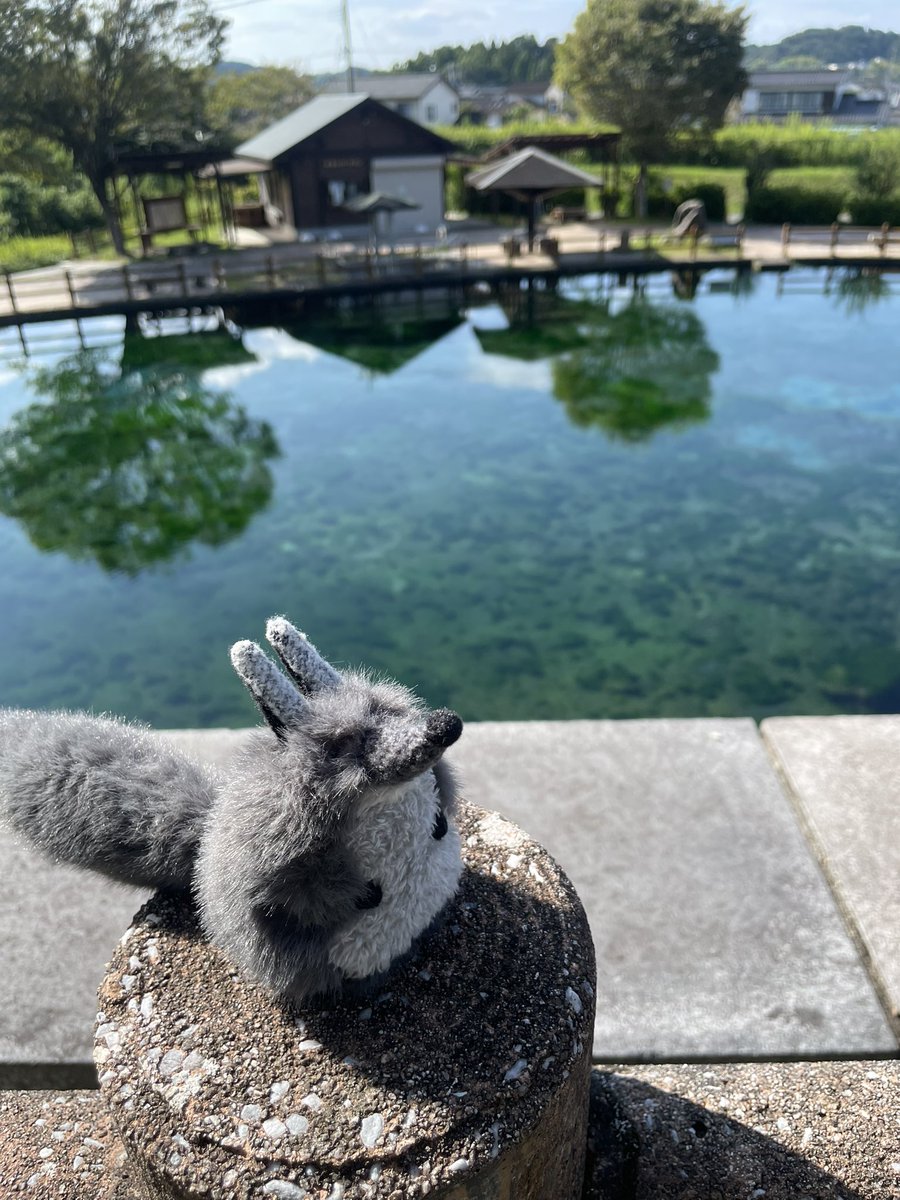 monmon_monchann's tweet photo. なんて綺麗な場所なの？
湧水町⛲️美味しい天然水飲めたわ🐺
#ぬい活 #ぬい撮り https://t.co/rNwNeDhbFn