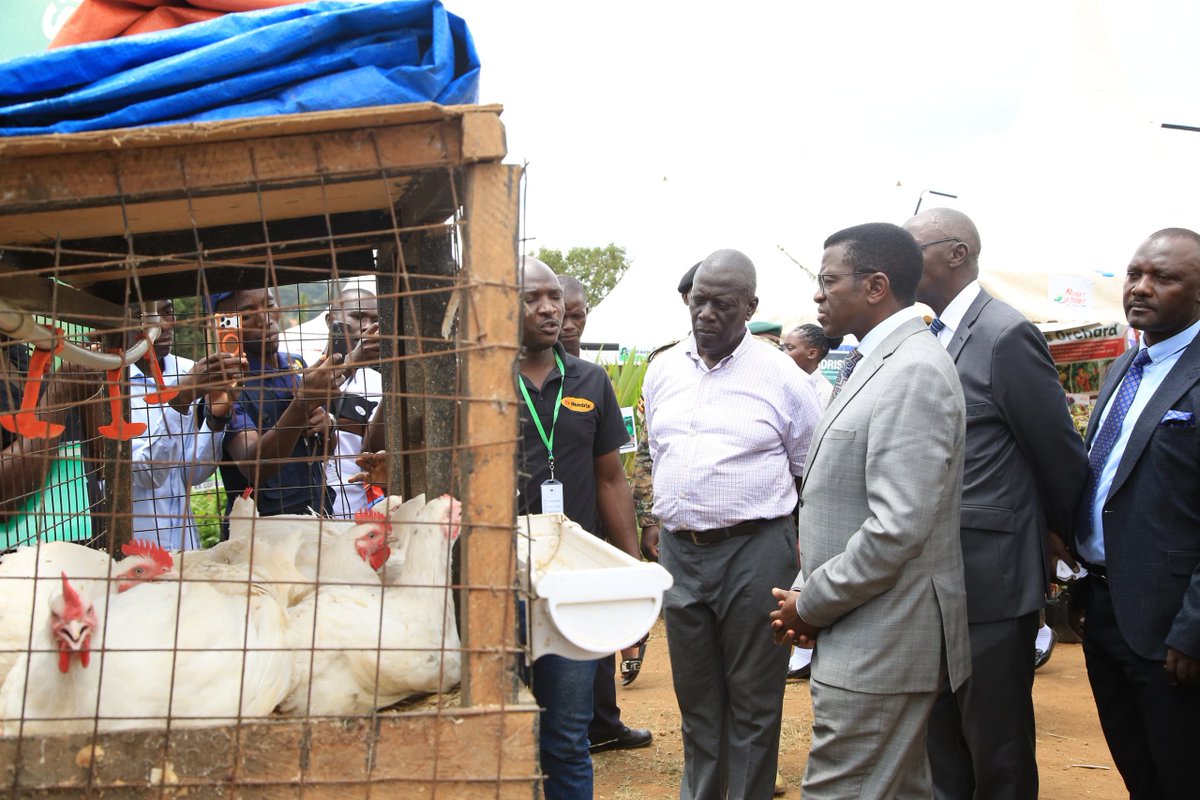 cpmayiga's tweet photo. Ensi ekyuse, tulina okukyuka n'ebintu ebikyuse. Mu mirimu gyaffe gyonna; obulimi, obulunzi, mu makolero, mu woofiisi na buli mulimu gwonna tulina okusitula omutindo okusinziira ku nkyukakyuka y'Ensi nga bw'ejja ebaawo

Leero ntongozza omwoleso gwa CBS PEWOSA ku mbuga y'essaza Buddu, nsanyuse okulaba ng'abantu ba Kabaka bannyikizza obuyiiya  okugatta omutindo ku bye bakola kubanga kaweefube w'okusitula omutindo yatongozebwa n'ekigendererwa eky'okufuna ekintu ekisembayo obulungi mu bikolebwa abantu baleme kufiirwa baganyulwe mu maanyi gaabwe.
