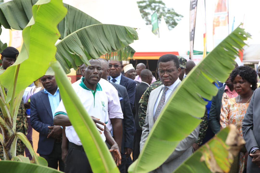 cpmayiga's tweet photo. Ensi ekyuse, tulina okukyuka n'ebintu ebikyuse. Mu mirimu gyaffe gyonna; obulimi, obulunzi, mu makolero, mu woofiisi na buli mulimu gwonna tulina okusitula omutindo okusinziira ku nkyukakyuka y'Ensi nga bw'ejja ebaawo

Leero ntongozza omwoleso gwa CBS PEWOSA ku mbuga y'essaza Buddu, nsanyuse okulaba ng'abantu ba Kabaka bannyikizza obuyiiya  okugatta omutindo ku bye bakola kubanga kaweefube w'okusitula omutindo yatongozebwa n'ekigendererwa eky'okufuna ekintu ekisembayo obulungi mu bikolebwa abantu baleme kufiirwa baganyulwe mu maanyi gaabwe.