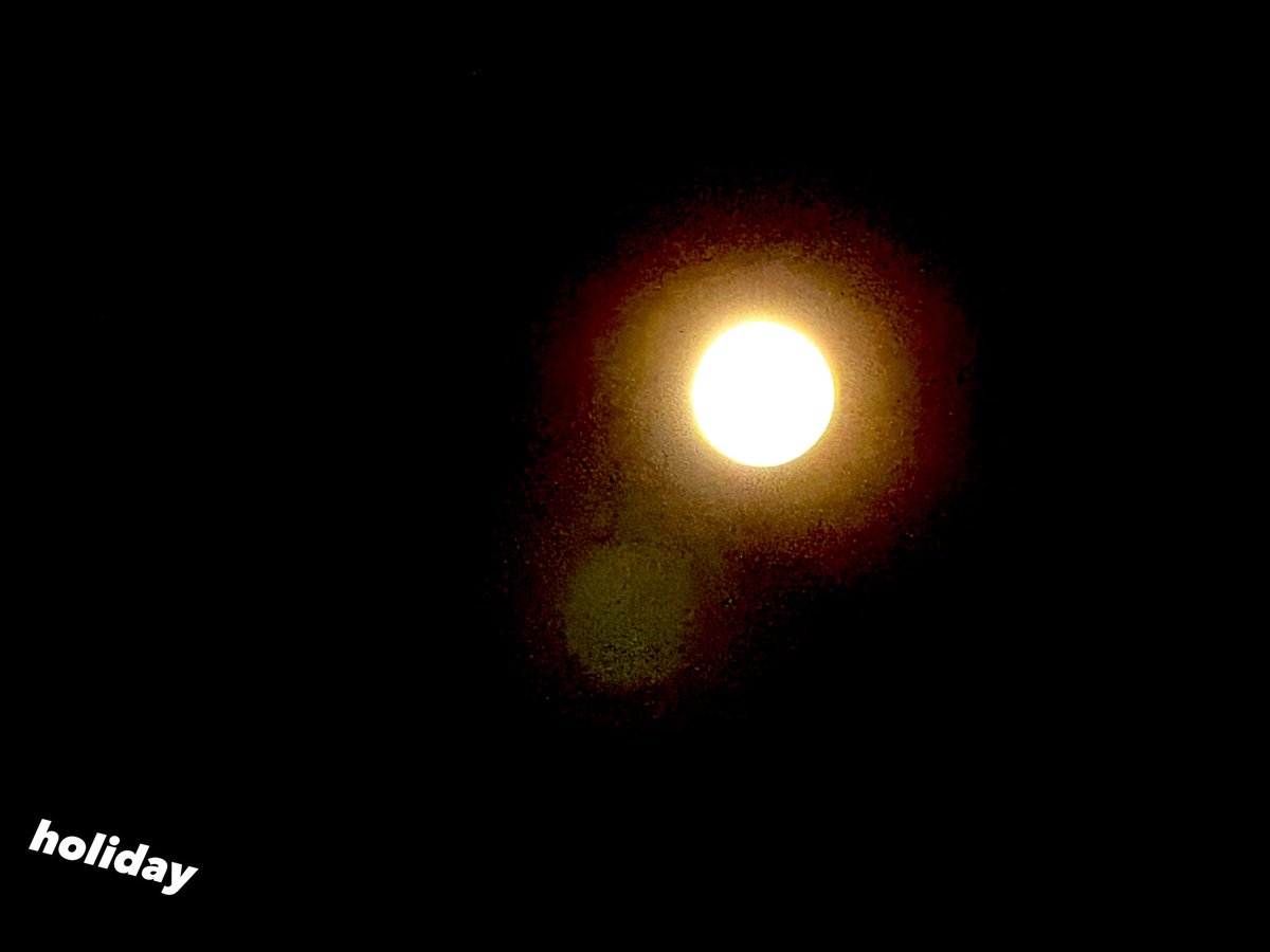 cuntamoo's tweet photo. 今日もありがとうございます🎑
中秋の名月　
満月は🌕27日まで
おあずけ🫧ᝰ✍︎꙳⋆
#ファインダー越しの世界 #キリトリセカイ #TLを花でいっぱいにしよう　#花のある暮らし https://t.co/7S8y1sOXQE