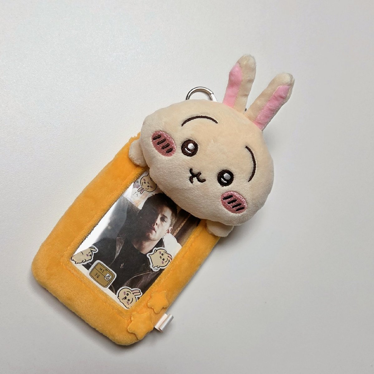 pig_in_a tweet picture