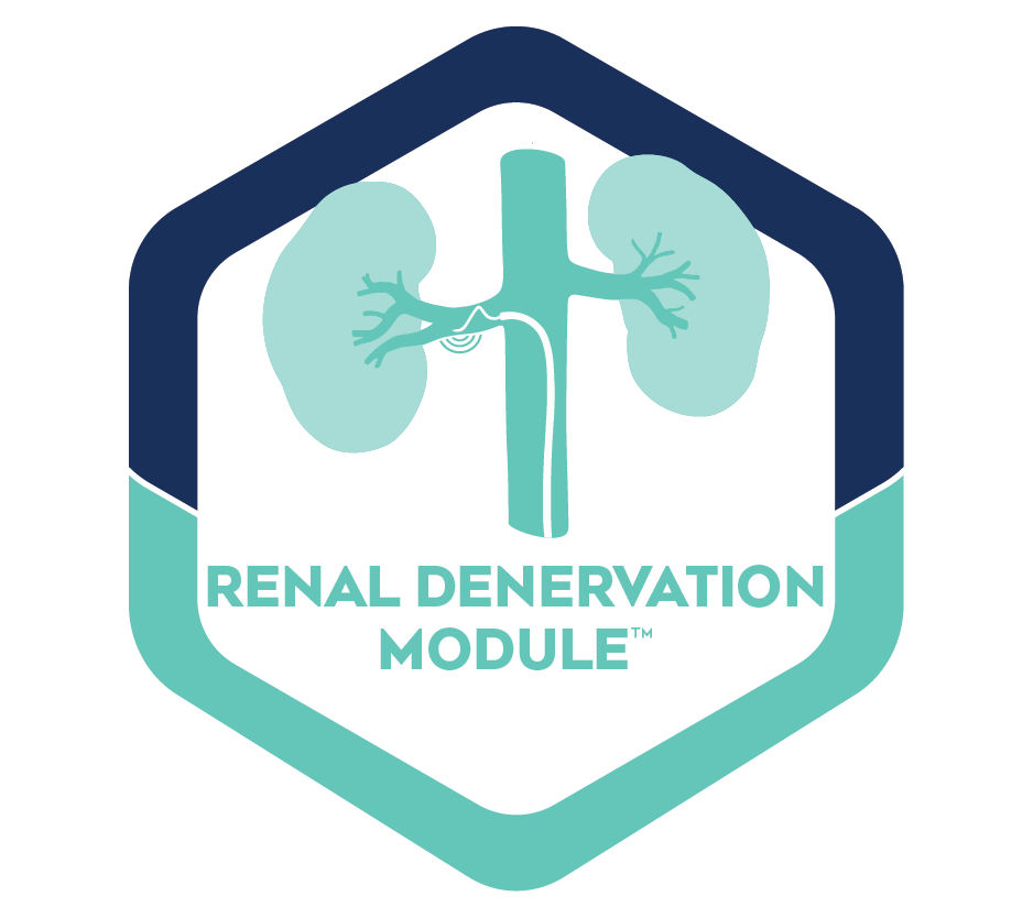 SmithBIDMC's tweet photo. The new NCDR Renal Denervation Module from @ACCinTouch, developed with the Smith Center, is open for enrollment! 

Learn more about this collaboration and join more than a dozen sites already enrolled in the RDN Module: https://t.co/vWOFX6mWsO

@EricSecemskyMD @AKrawisz https://t.co/UQbvu3Txjw