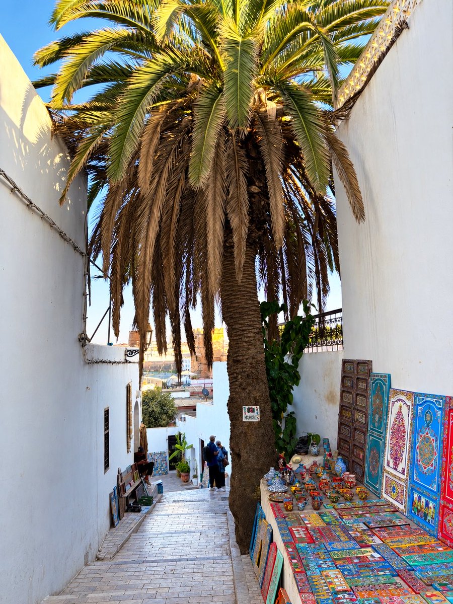 weldtaza's tweet photo. Toujours Rabat 🇲🇦 https://t.co/Oq7rPQMflg