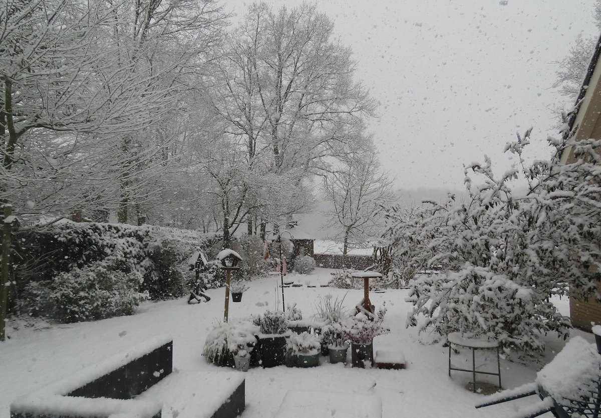 VernonMelier's tweet photo. Winter in onze tuin: er ligt een flink pak sneeuw. https://t.co/wuXqXj6cvx