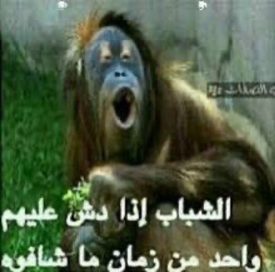 4WODZ's tweet photo. سعوووود؟؟؟؟؟؟ https://t.co/um5ivovU2s