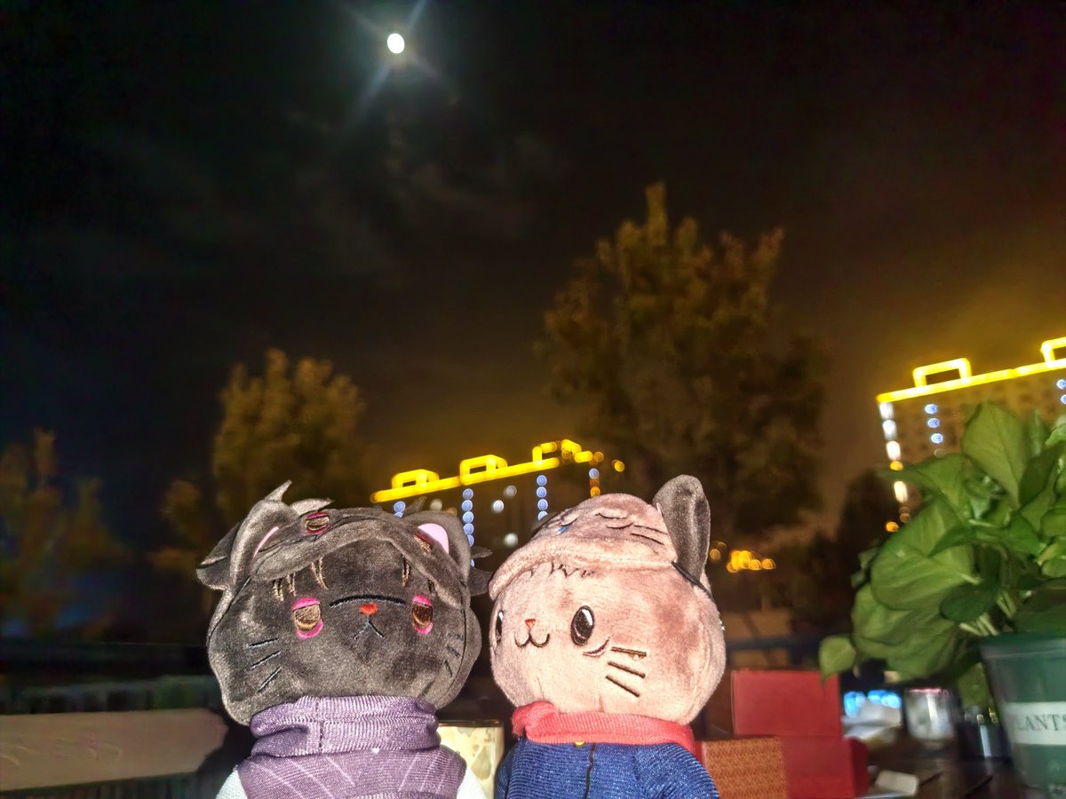 pure1127w's tweet photo. 中秋节快乐！🎑🥮哥弟一起吃了月饼 https://t.co/Kse3CCaSIF