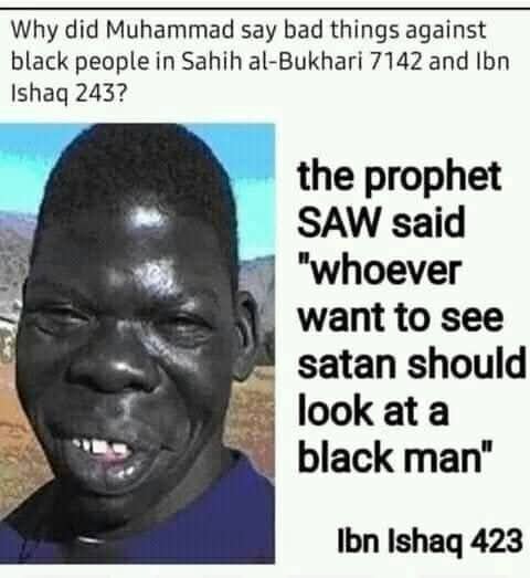 freethinkerag's tweet photo. @WordKombo In your learning, have you come across this . Do you support what Mohamed said about black people like you https://t.co/WGytOp5SMF