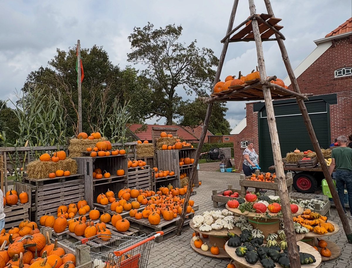 VernonMelier's tweet photo. Pompoenenschuur vol herfstgevoel. https://t.co/JQ4jDHrbs4