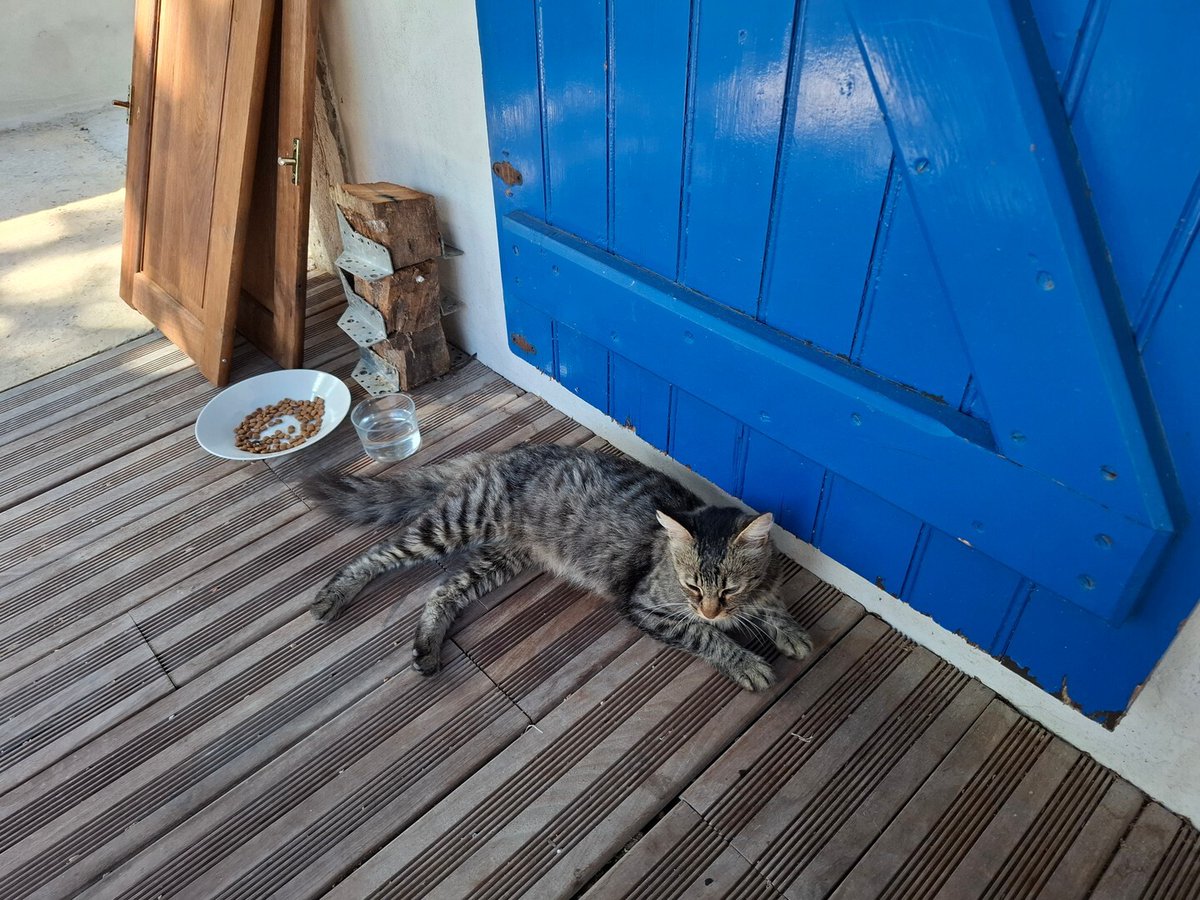 vigipets's tweet photo. 🟢 🐱 Chat trouvé le 23/09/2026 à Arbonne (64210).
Femelle / Identifié(e) : Non
☎️ 0675205683
📧 rene.castege@wanadoo.fr
#VigiPets #chatperdu #chattrouve #chat #perdu #trouve https://t.co/dICsGkH89Y