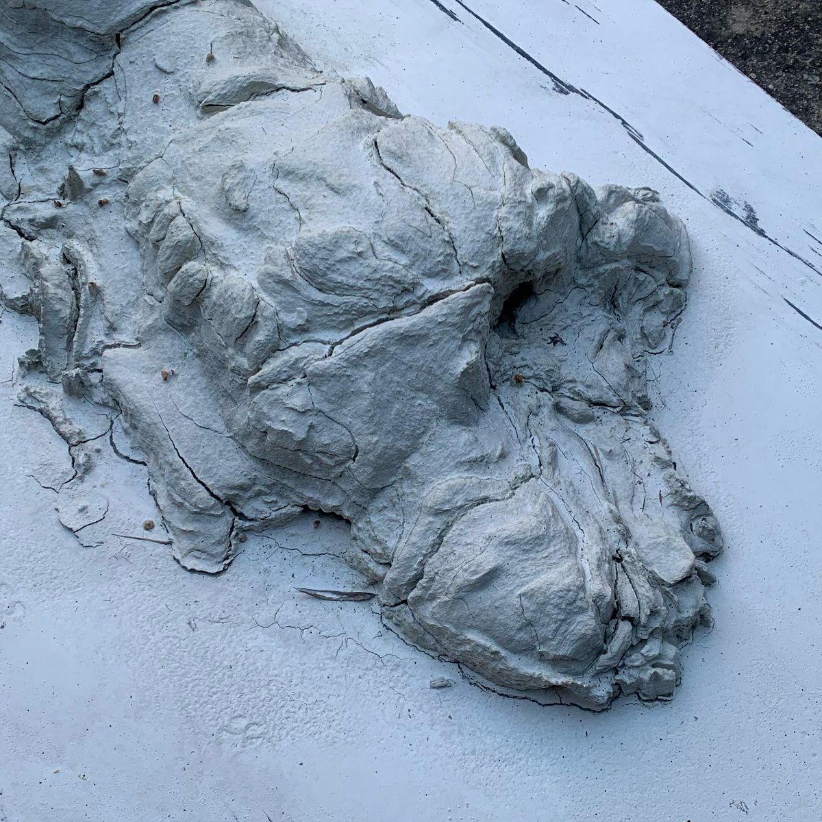 MerylBrantndxs's tweet photo. (de)composition: self-portrait (2020–2026)
An ephemeral sculpture. https://t.co/BBtfe8x71v