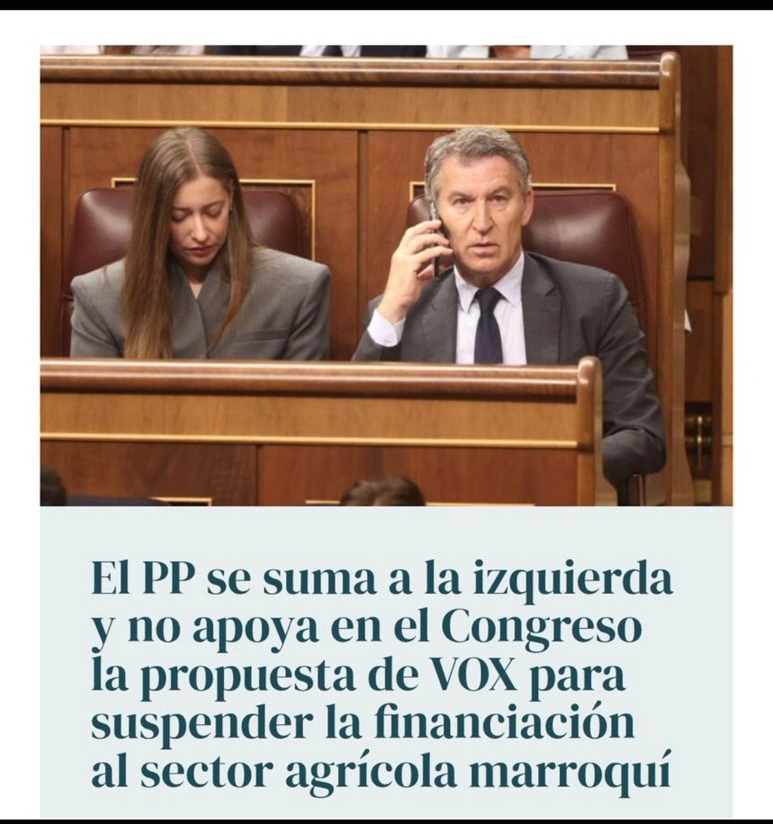 rlozano_guiller's tweet photo. @NunezFeijoo ¿Que habéis hecho para merecer la mayoría? No presentais recursos en tribunales, no hacéis nada en el Congreso, ni en el Senado. Le habéis regalado la justicia al Psoe. No hacéis nada en Bruselas, es más sois socios del PSOE. No presentais el 102.Solo es bla bla https://t.co/KlZgcYuL2b