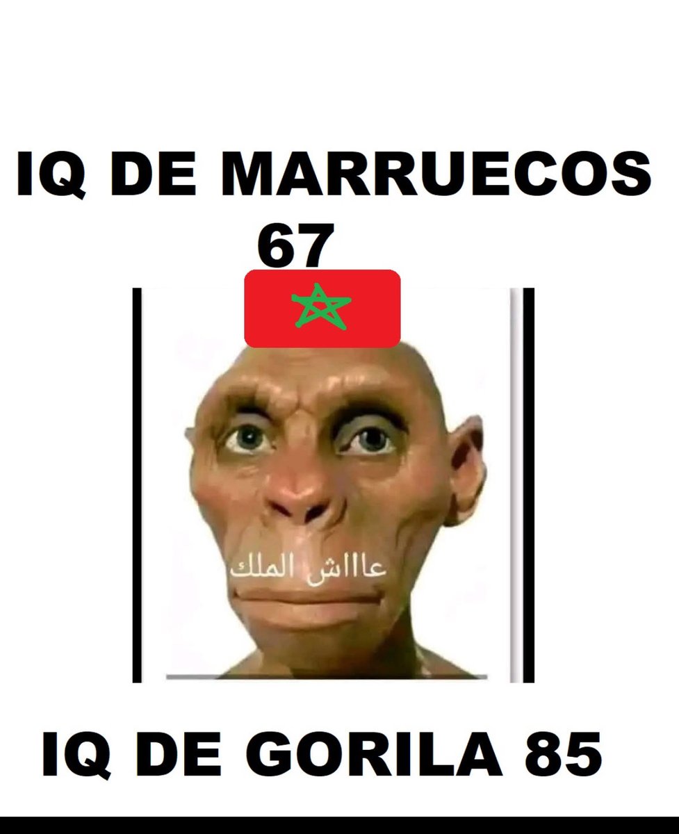 Nmorcol30's tweet photo. @tambaliken Sobretodo en coeficiente IQ, sois los número 1 😅 https://t.co/yvDkOhzs7a