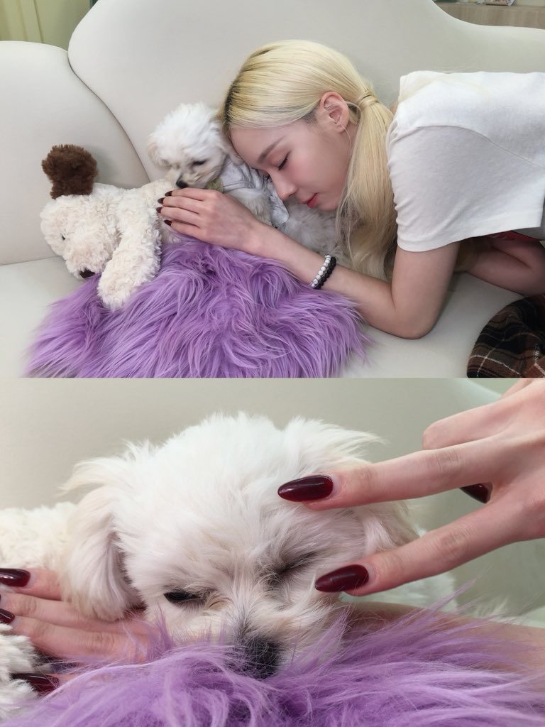 aespa_official's tweet photo. 🐶💤

#aespa #æspa #에스파
#WINTER #윈터 https://t.co/nDM8HUQAZb
