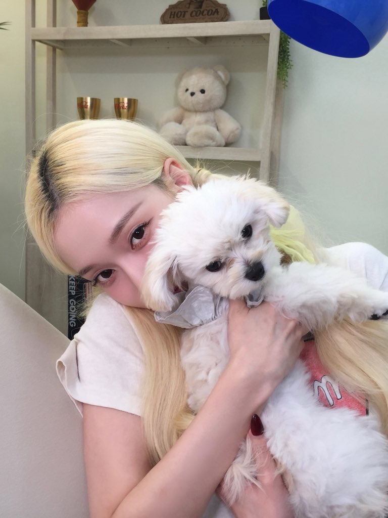 aespa_official's tweet photo. 🐶💤

#aespa #æspa #에스파
#WINTER #윈터 https://t.co/nDM8HUQAZb