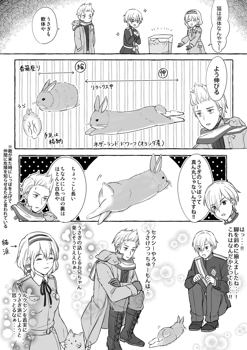 fuwashippoayase's tweet photo. 明日は🐰の日みたいなので前に描いたヘタとうさぎの漫画まとめときます。また描きたい 1/2 https://t.co/QllZQDY8Da