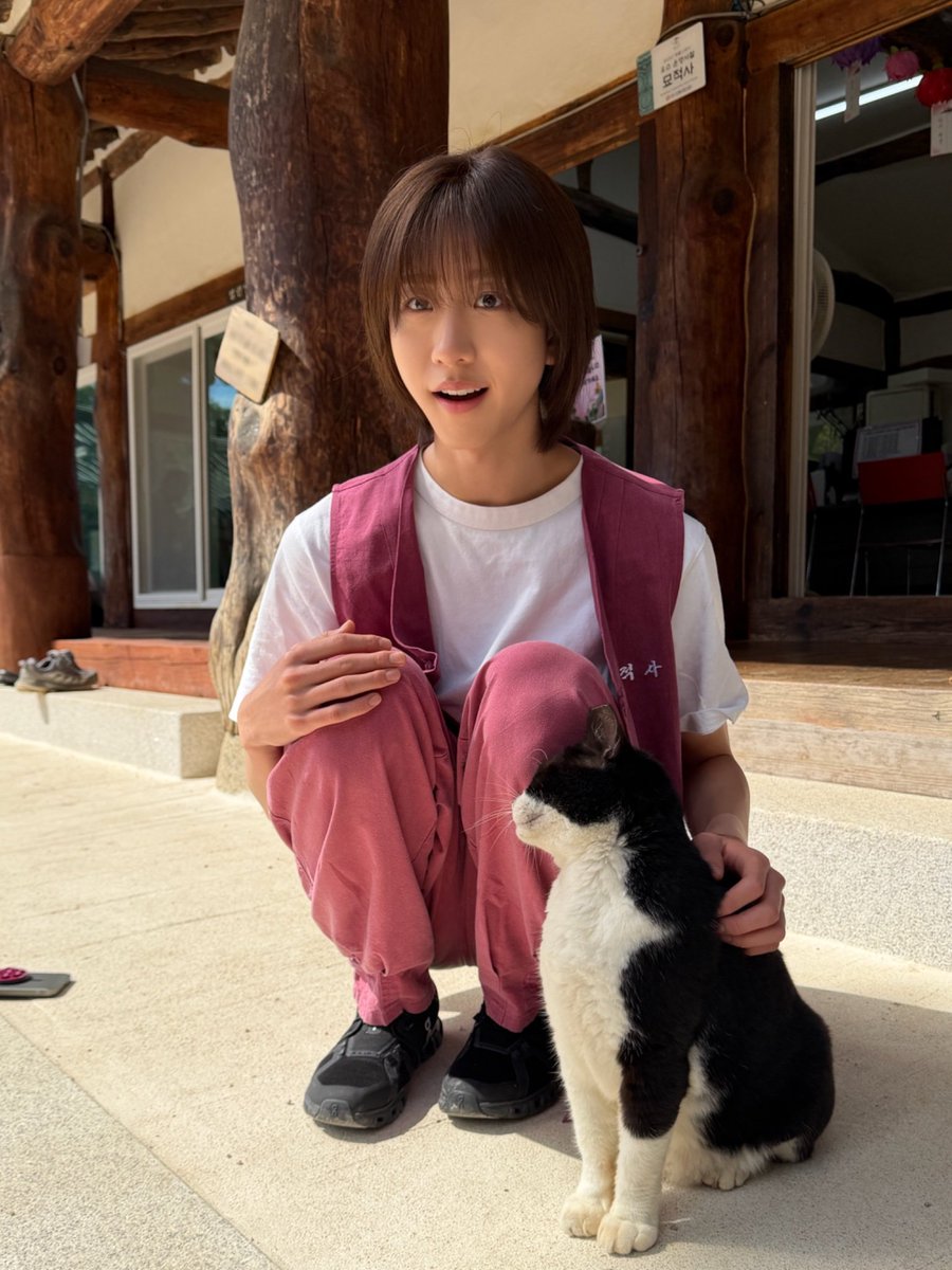 shhatoosus's tweet photo. 아니 씨갈 존나부럽내?
나도한번만 제발 https://t.co/cPgJatIZNX